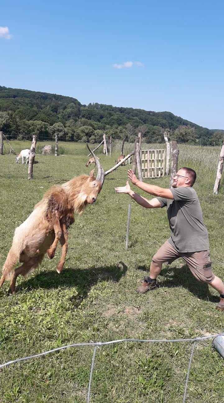 Gábor István Simoncsics